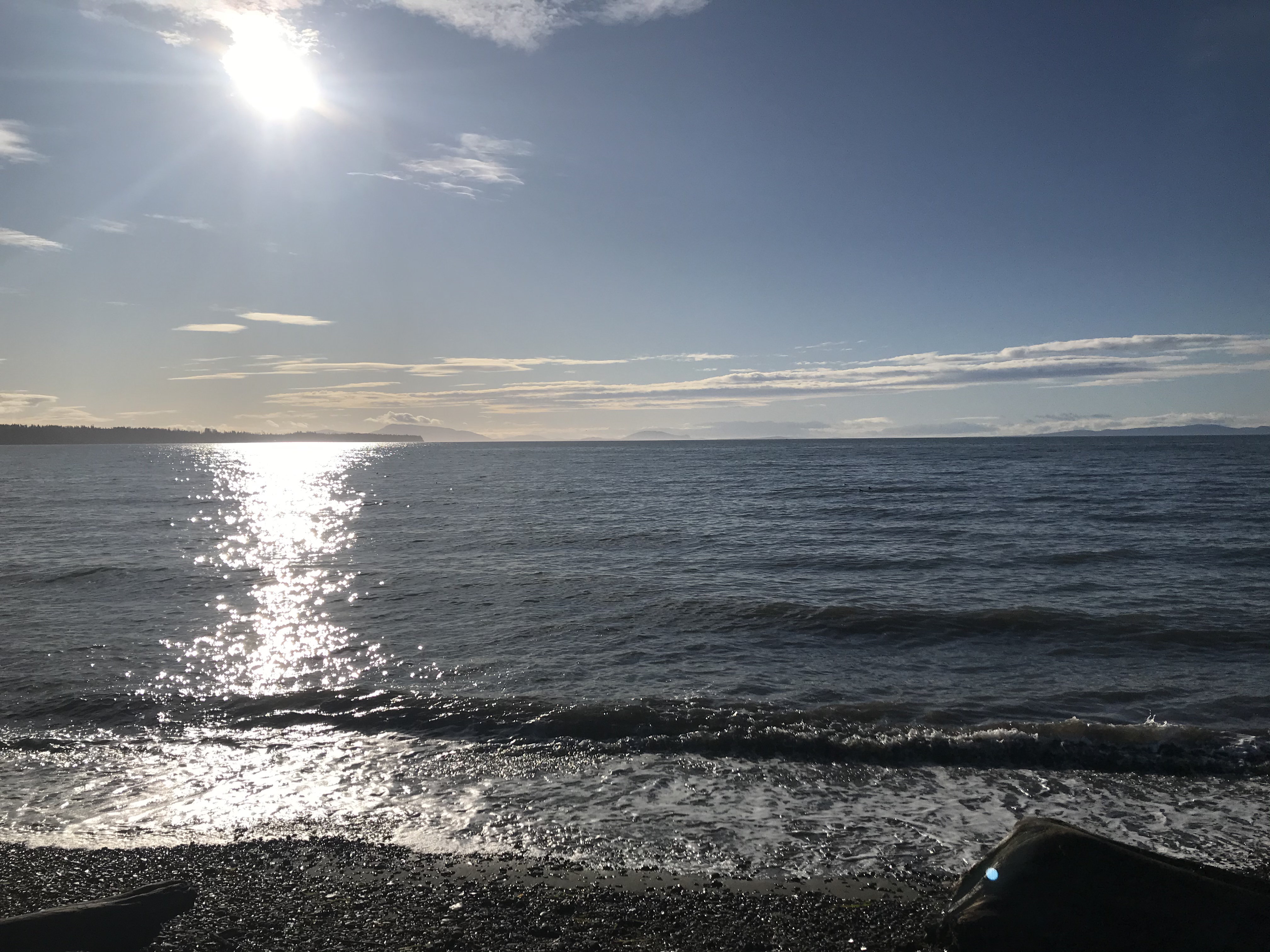 05C60E5C-50F1-4EC8-93EF-0100AB7DE541